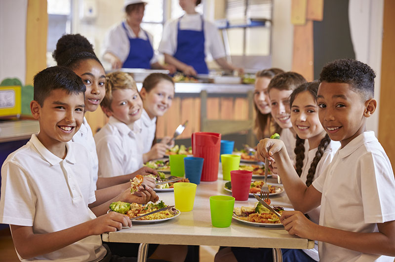 School Dinners