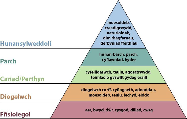 Hierarchy of needs