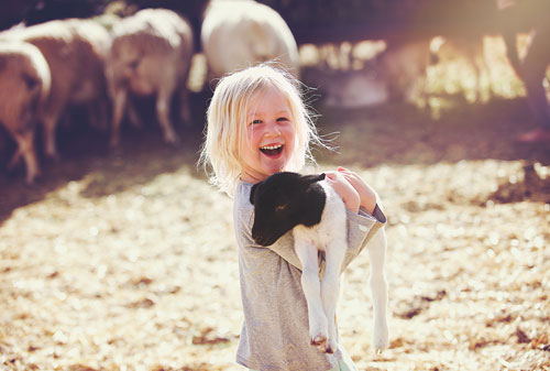 A happy young child carrying a lamb