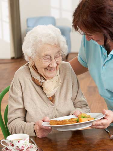 Elderly woman and carer
