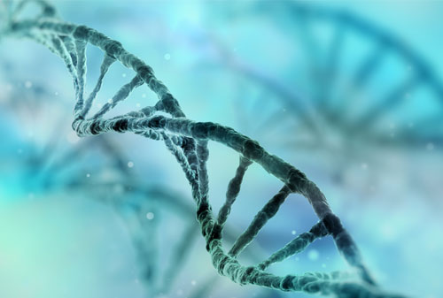 DNA strand