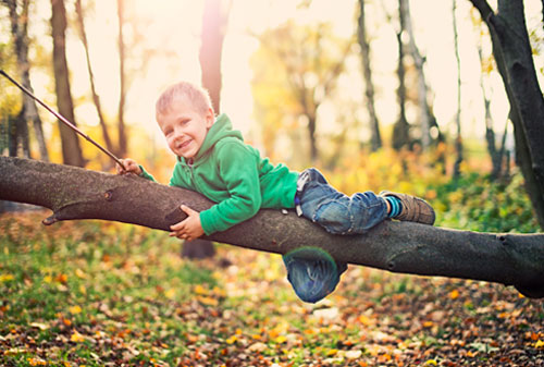 Playing on tree